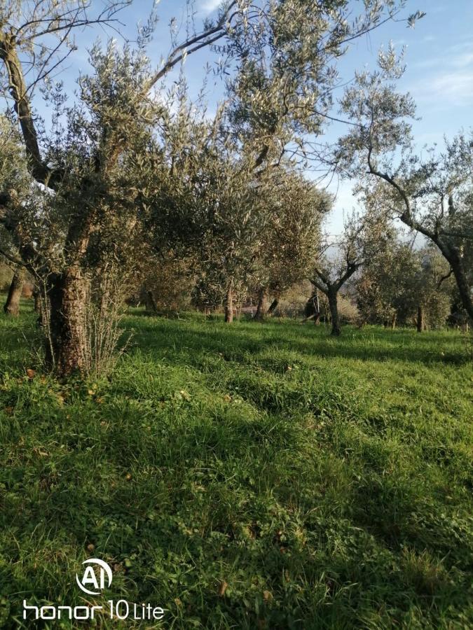 Appartamento Serenella Maenza المظهر الخارجي الصورة