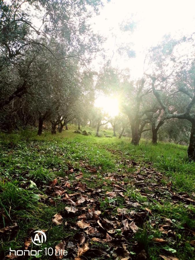 Appartamento Serenella Maenza المظهر الخارجي الصورة